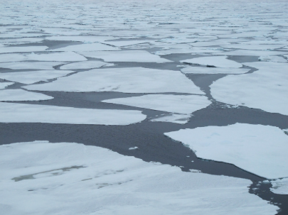 Climate Change Monitoring in the Artic